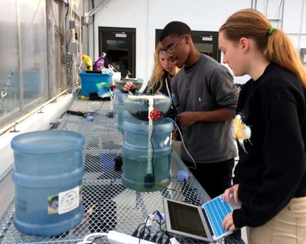 Here, fishy fishy: aquaculture systems