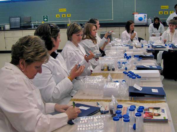 Soybeans: from ballast to biotech