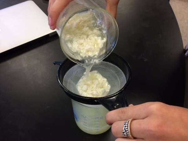 Stick a fork in it: biodegradable products