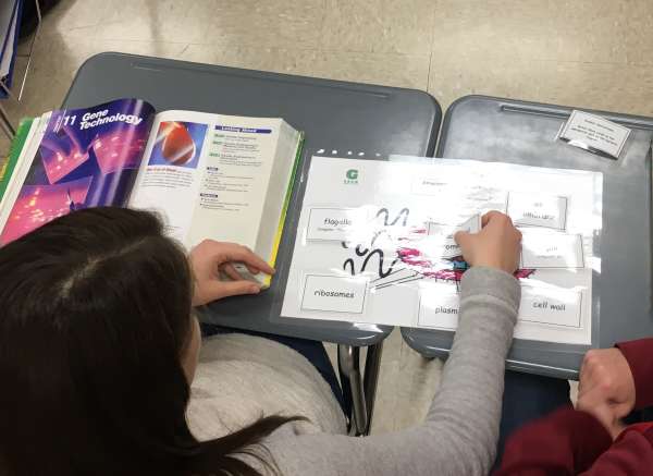 Activities makes the lights go on