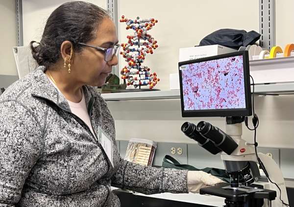 Ag and Med Biotech workshop: it's about the bacteria!