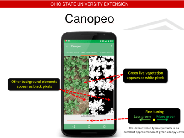 Agronomist shares science fair ideas