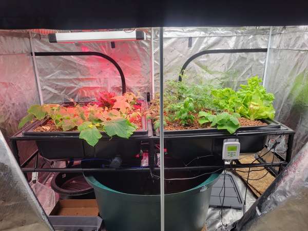 Aquaculture adventures