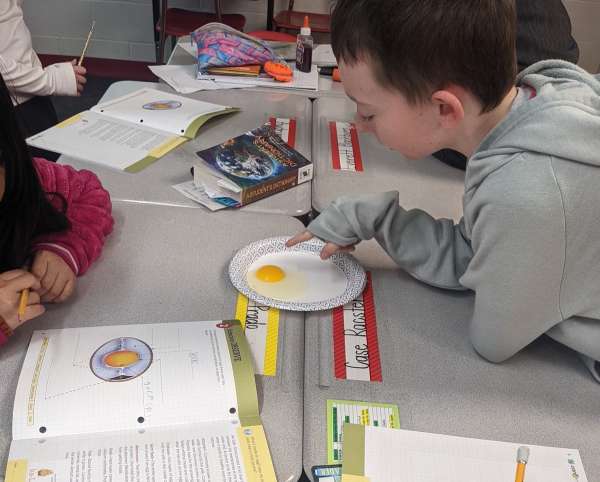 ChickQuest helps with spring fever