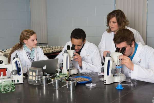 Cool curriculum for your classroom