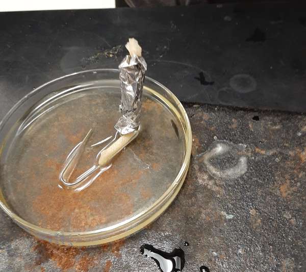 Measuring mass with classroom-created biodiesel