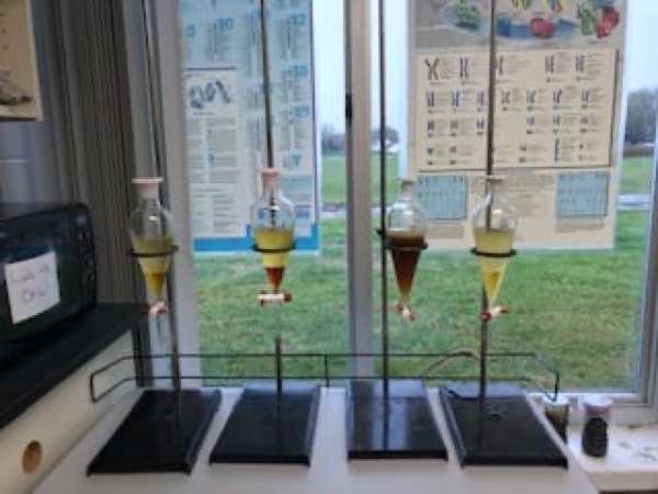 Racing boats with biodiesel