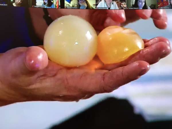 Reaching a new group of ChickQuest teachers!