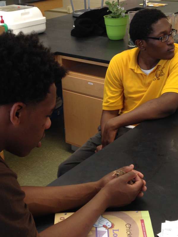 So THAT'S what was in those eggs?!?