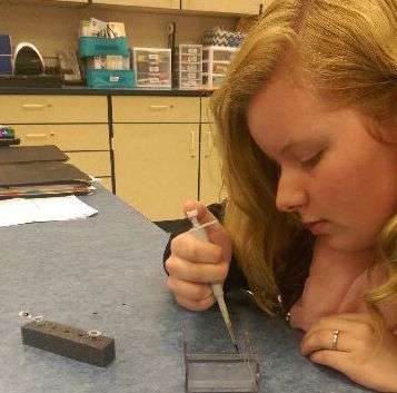 Students Use Biotechnology in Classroom