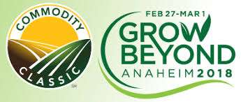 Teachers at work growing young minds through GrowNextGen