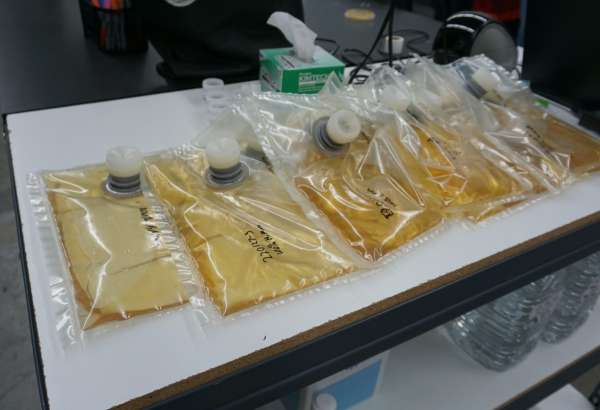 They're alive! Microbe manufacturing