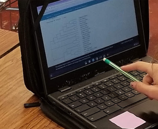 Tracking phylogeny in biology class