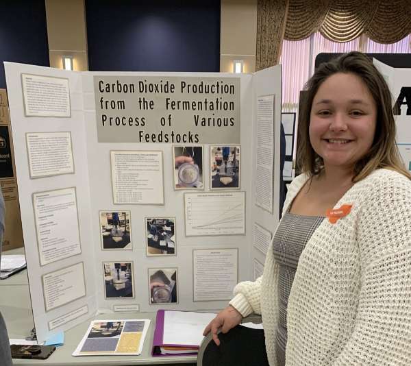 Virtual science fairs in 2020