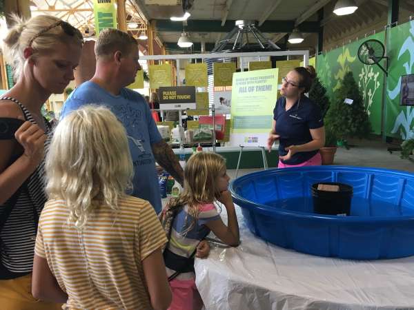 We are LIVE at Land and Living and the Lausche Building