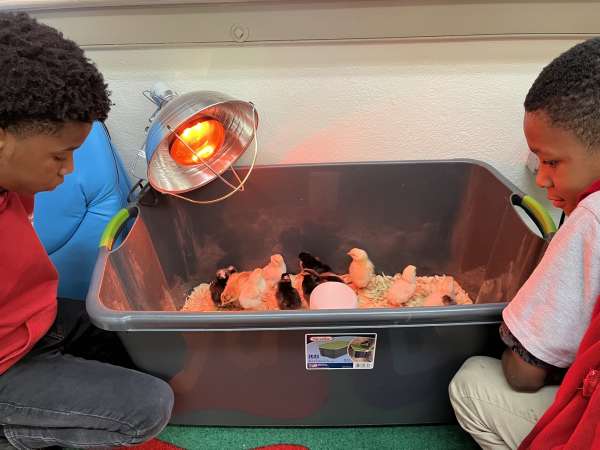 Welcome, new classroom visitors