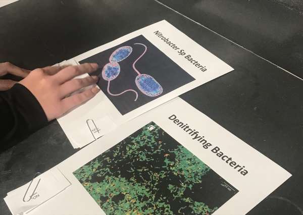 What are YOU putting in the water?