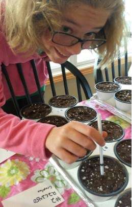 It's a drought: time for soybeans