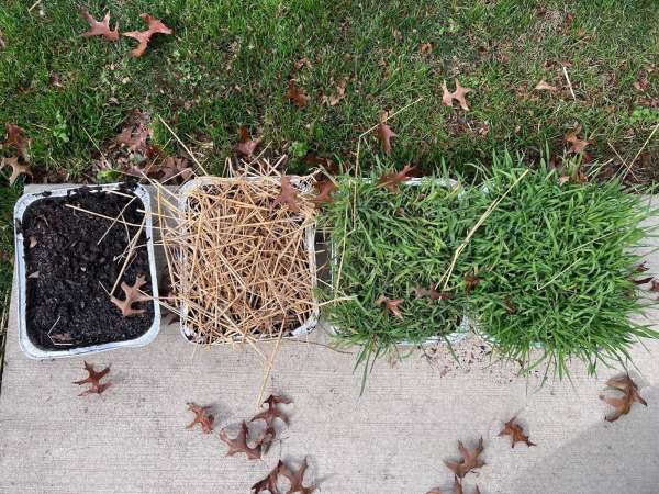 Testing Soil Erosion